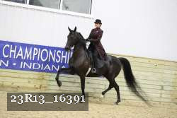 23R13_16391 proof