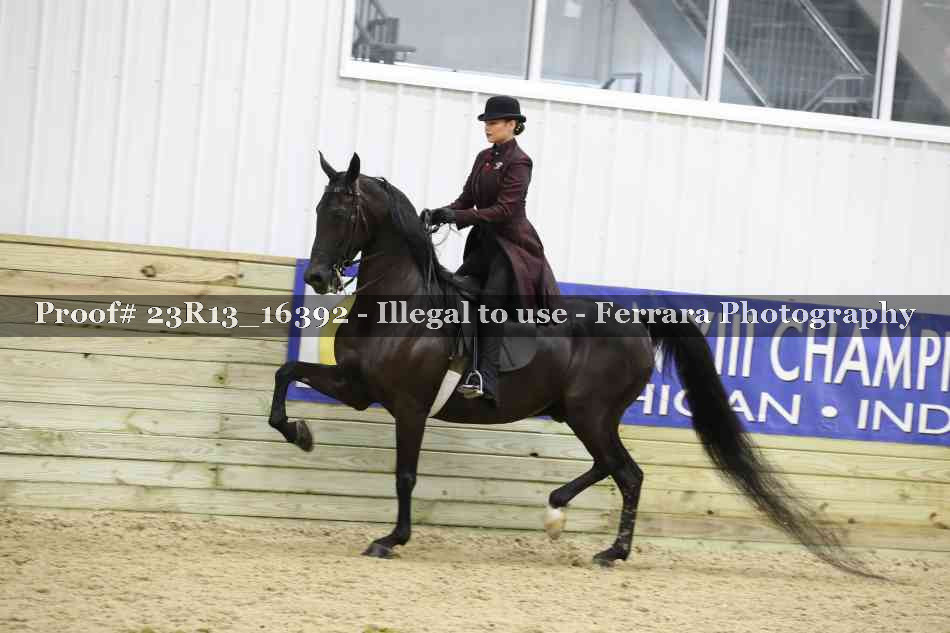 Proof 23R13_16392