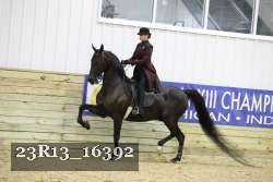 23R13_16392 proof