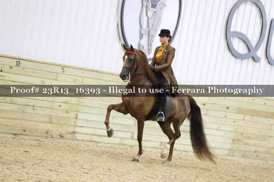 Proof 23R13_16393