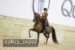 23R13_16393 proof