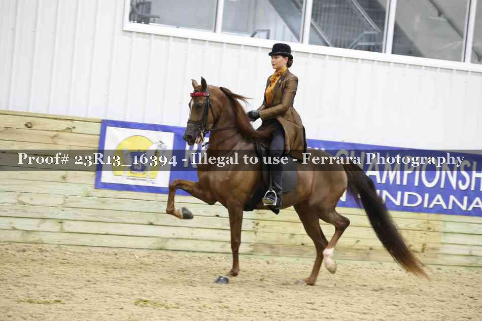 Proof 23R13_16394