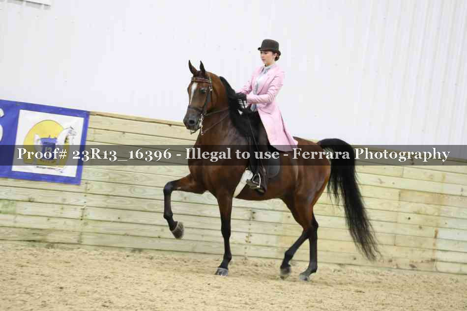 Proof 23R13_16396