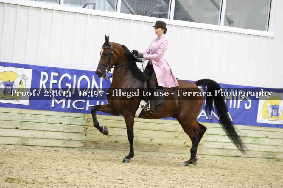 Proof 23R13_16397
