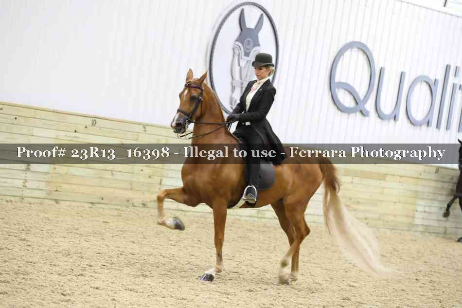 Proof 23R13_16398