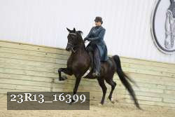 23R13_16399 proof