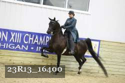 23R13_16400 proof