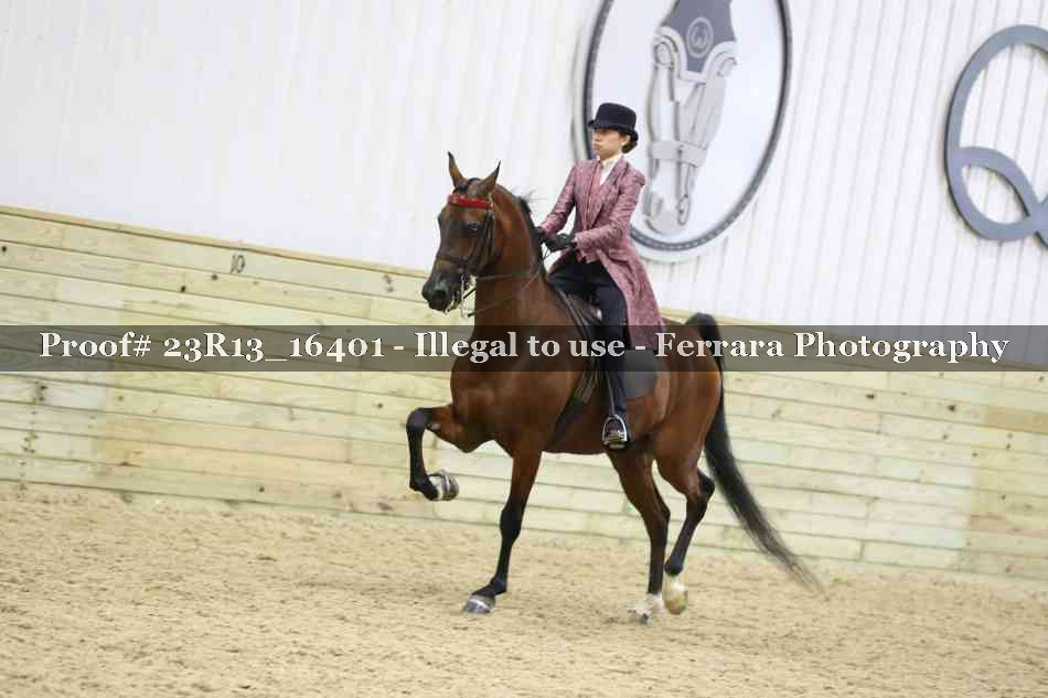Proof 23R13_16401