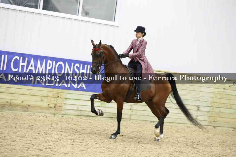 Proof 23R13_16402