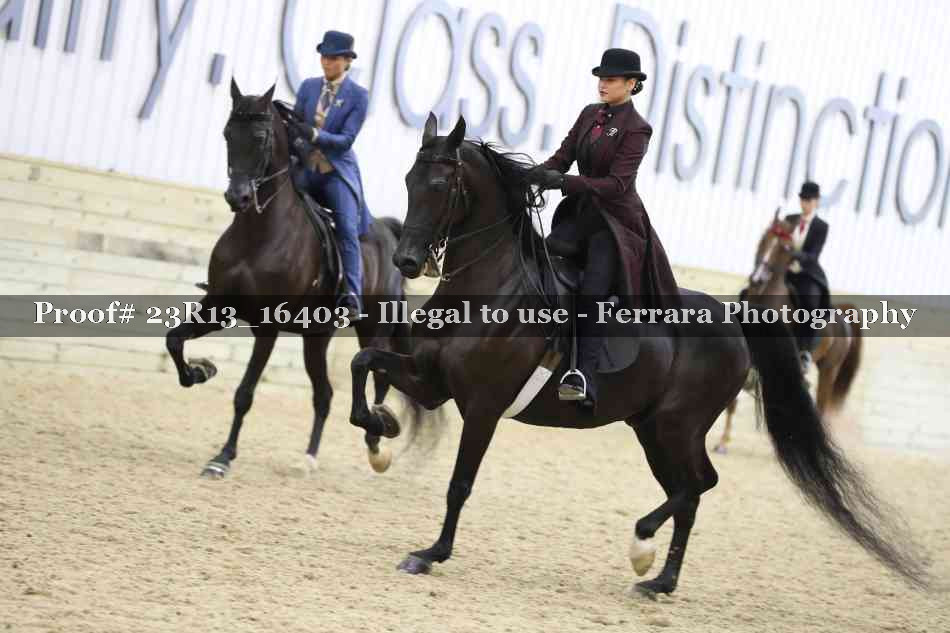 Proof 23R13_16403