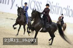 23R13_16403 proof