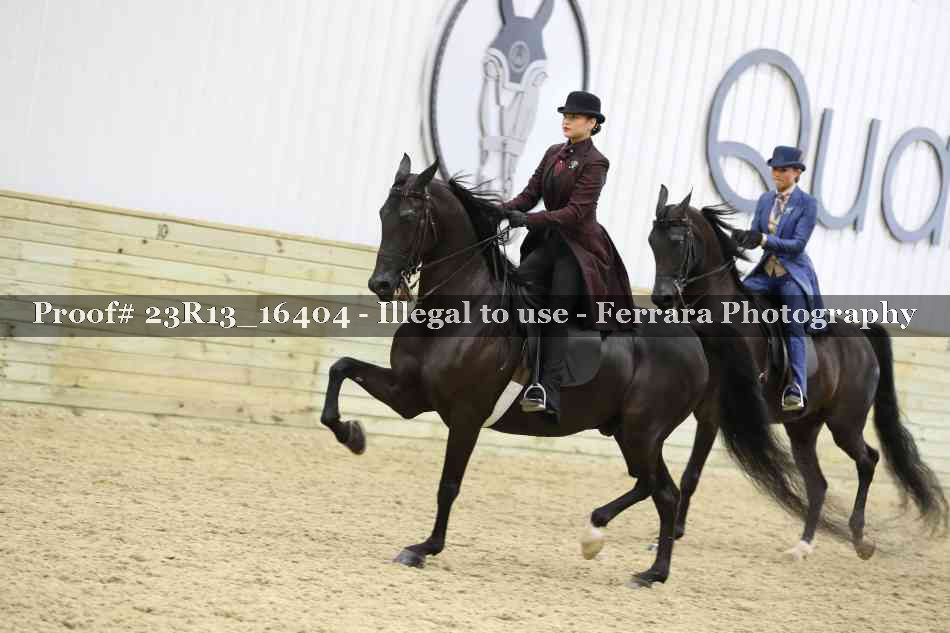 Proof 23R13_16404