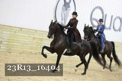 23R13_16404 proof