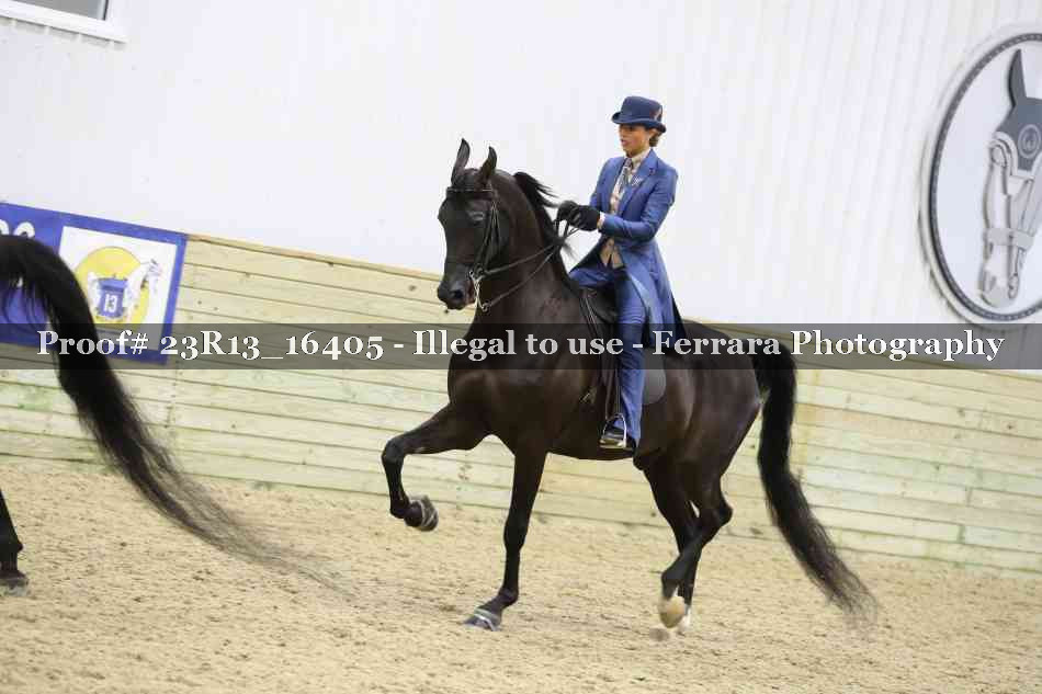 Proof 23R13_16405