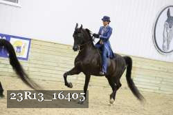 23R13_16405 proof