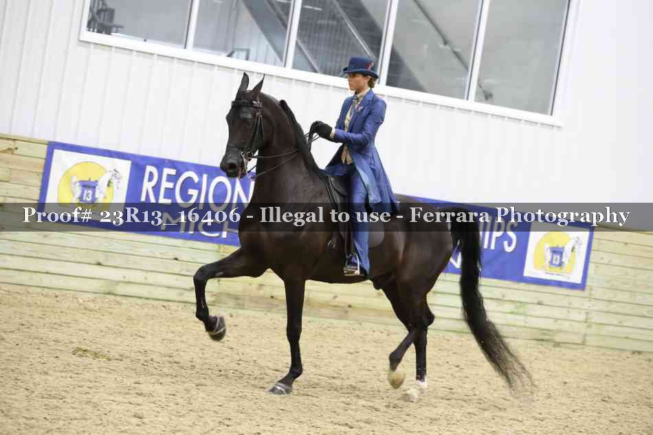 Proof 23R13_16406