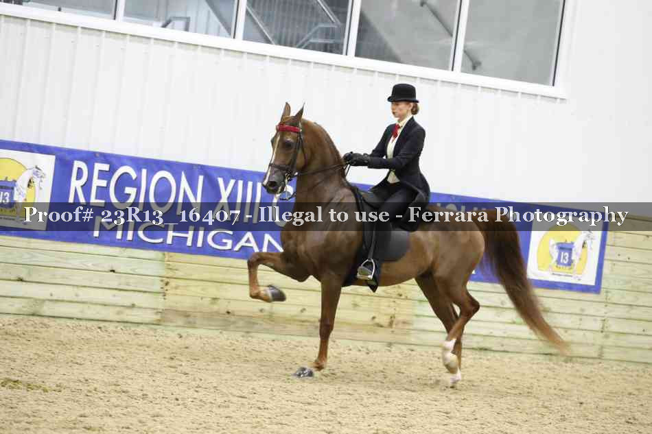Proof 23R13_16407