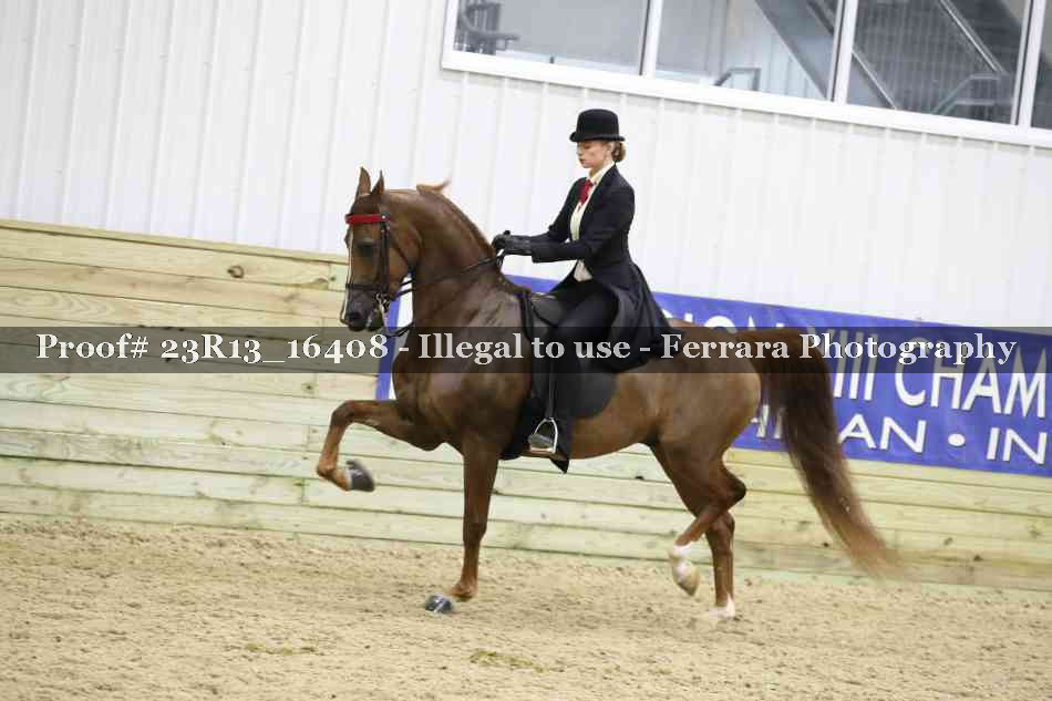 Proof 23R13_16408