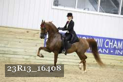 23R13_16408 proof