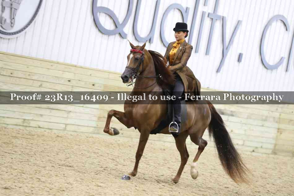 Proof 23R13_16409