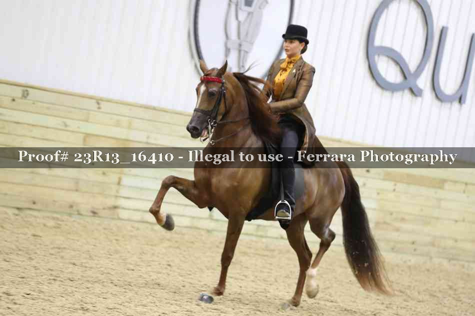 Proof 23R13_16410