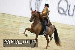 23R13_16410 proof