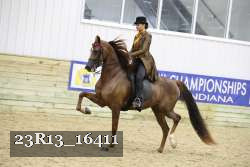 23R13_16411 proof