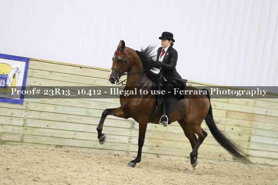 Proof 23R13_16412
