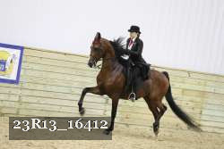23R13_16412 proof