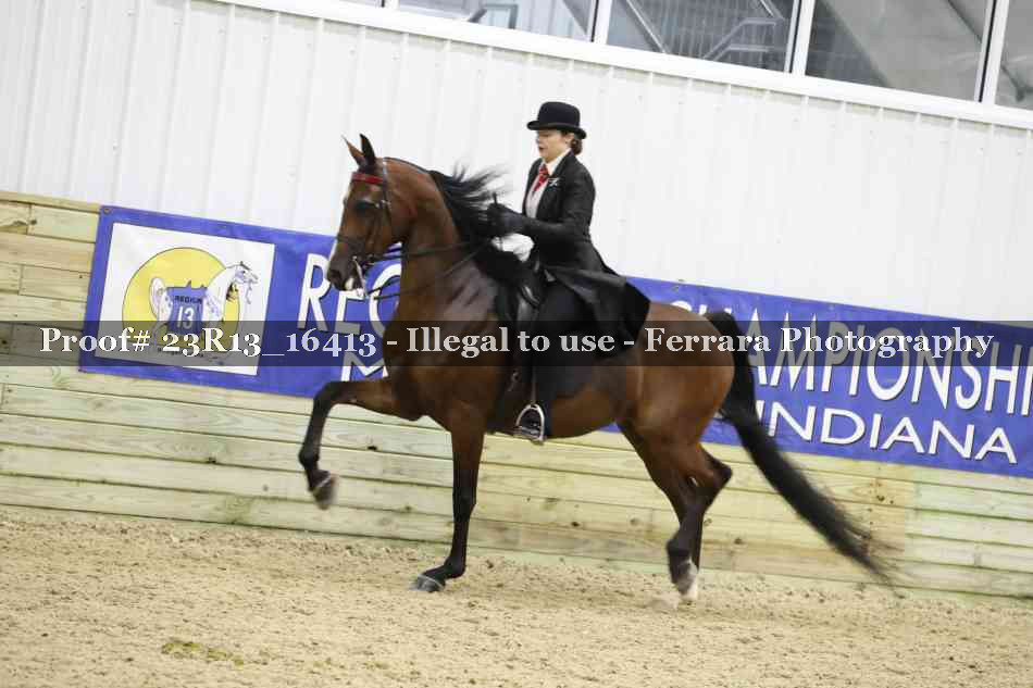Proof 23R13_16413