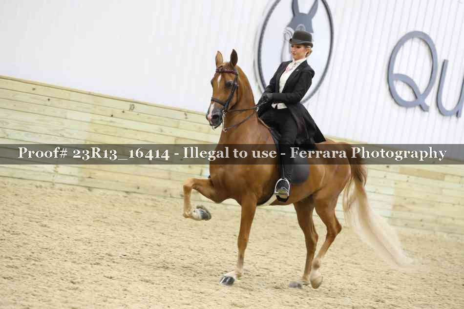Proof 23R13_16414