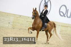 23R13_16414 proof