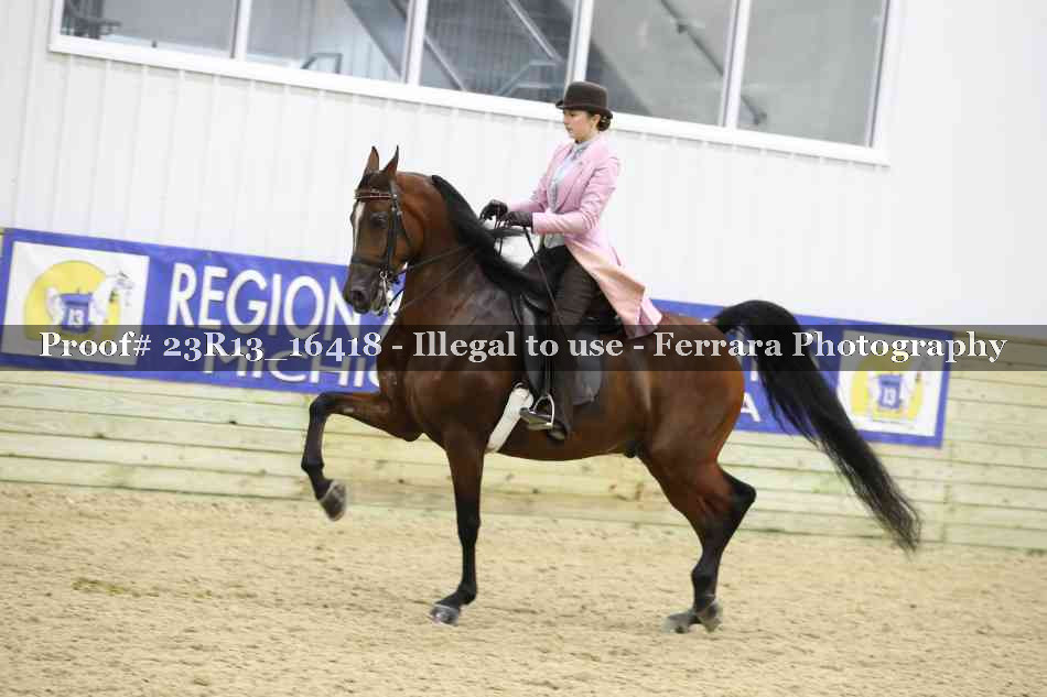 Proof 23R13_16418
