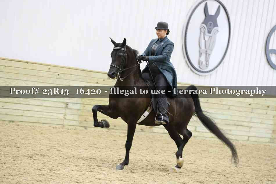 Proof 23R13_16420