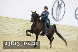 23R13_16420 proof
