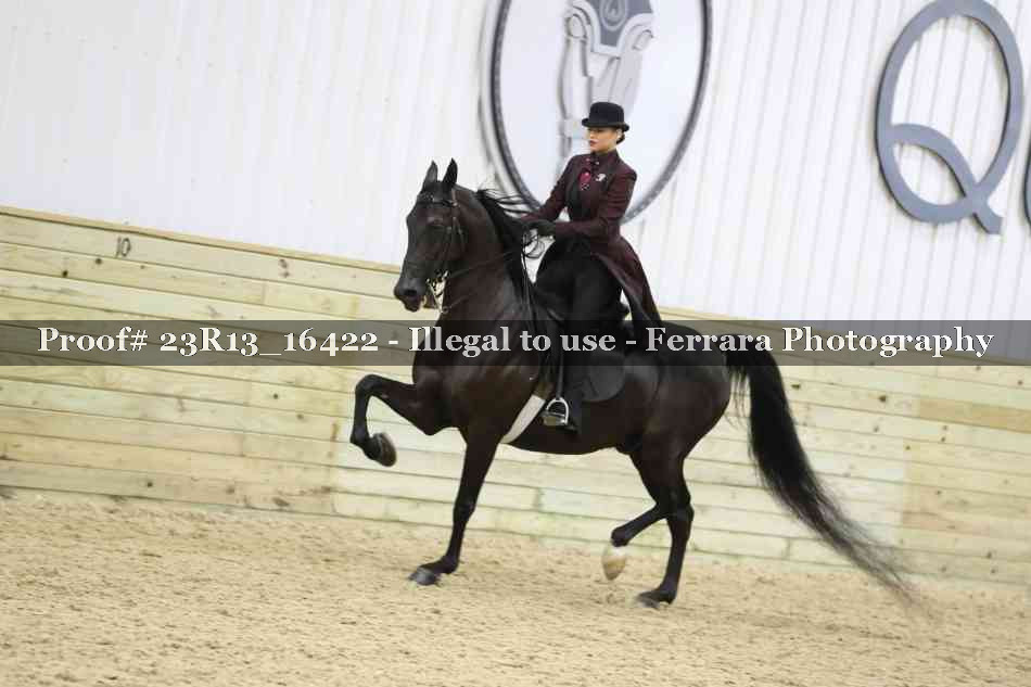Proof 23R13_16422