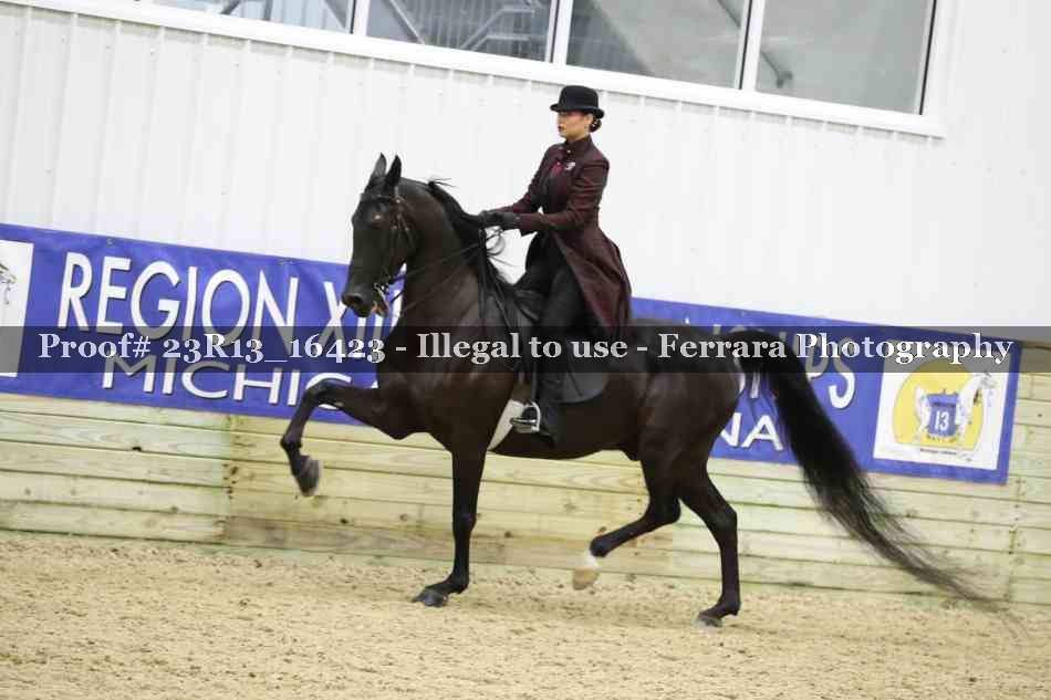Proof 23R13_16423