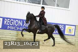 23R13_16423 proof