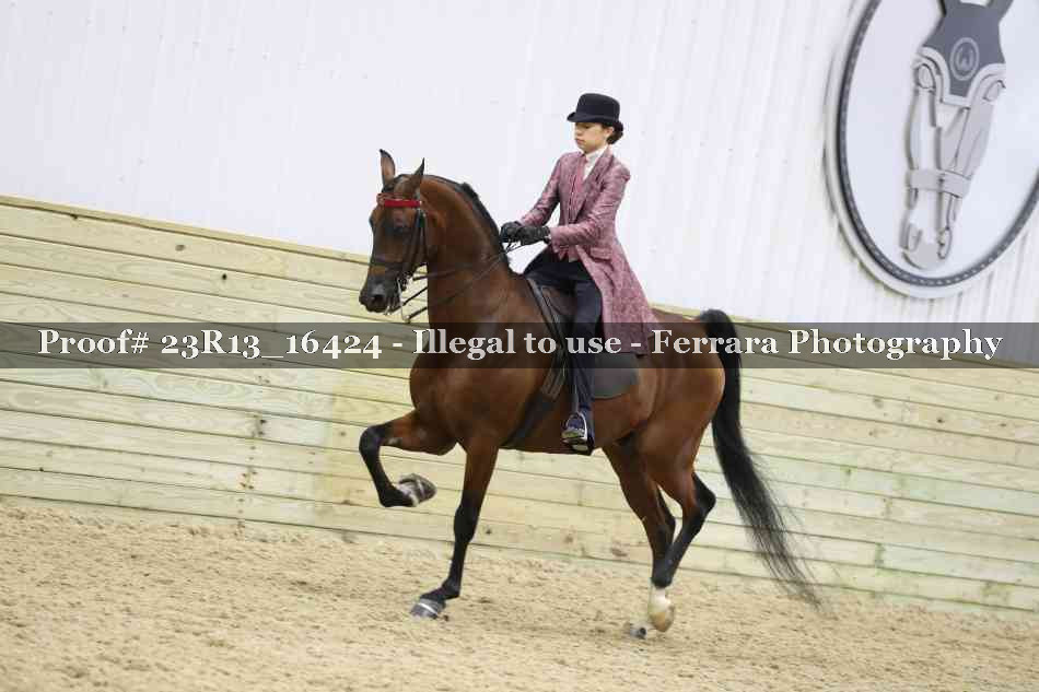 Proof 23R13_16424