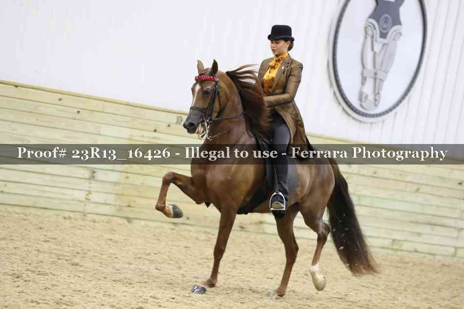 Proof 23R13_16426