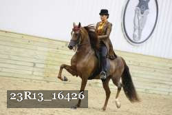 23R13_16426 proof