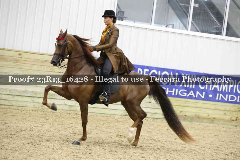 Proof 23R13_16428