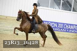 23R13_16428 proof