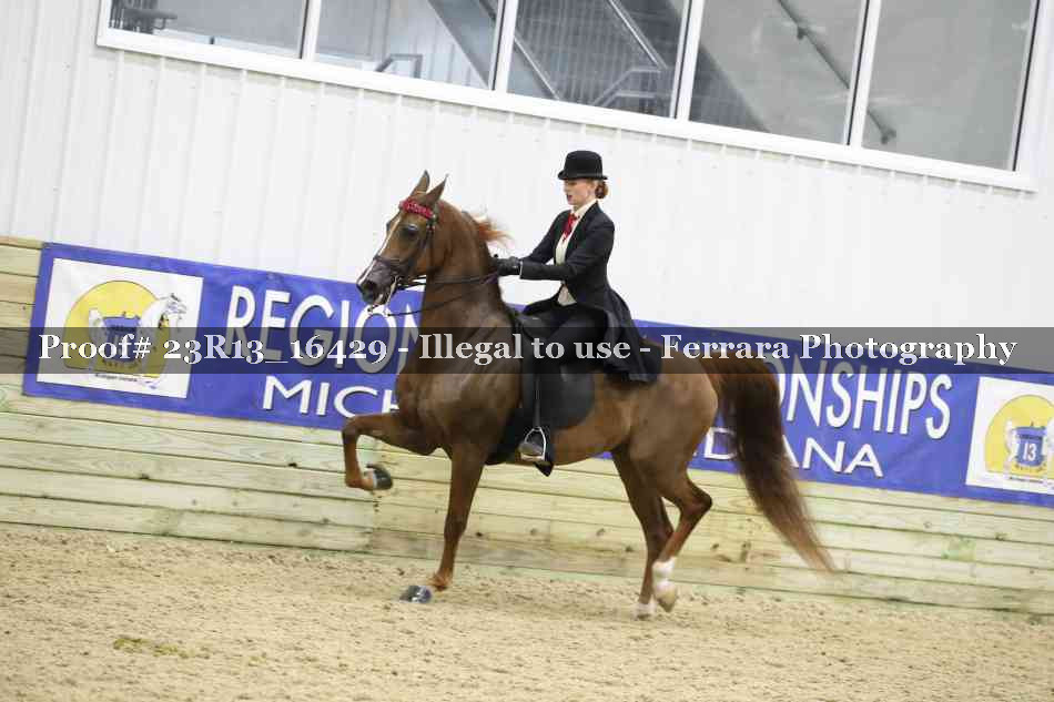 Proof 23R13_16429