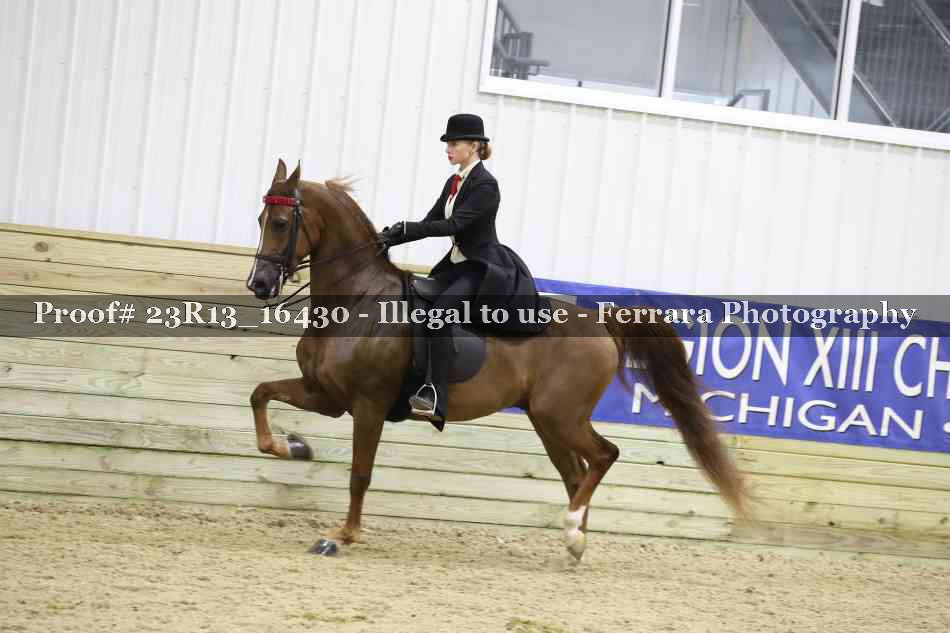 Proof 23R13_16430