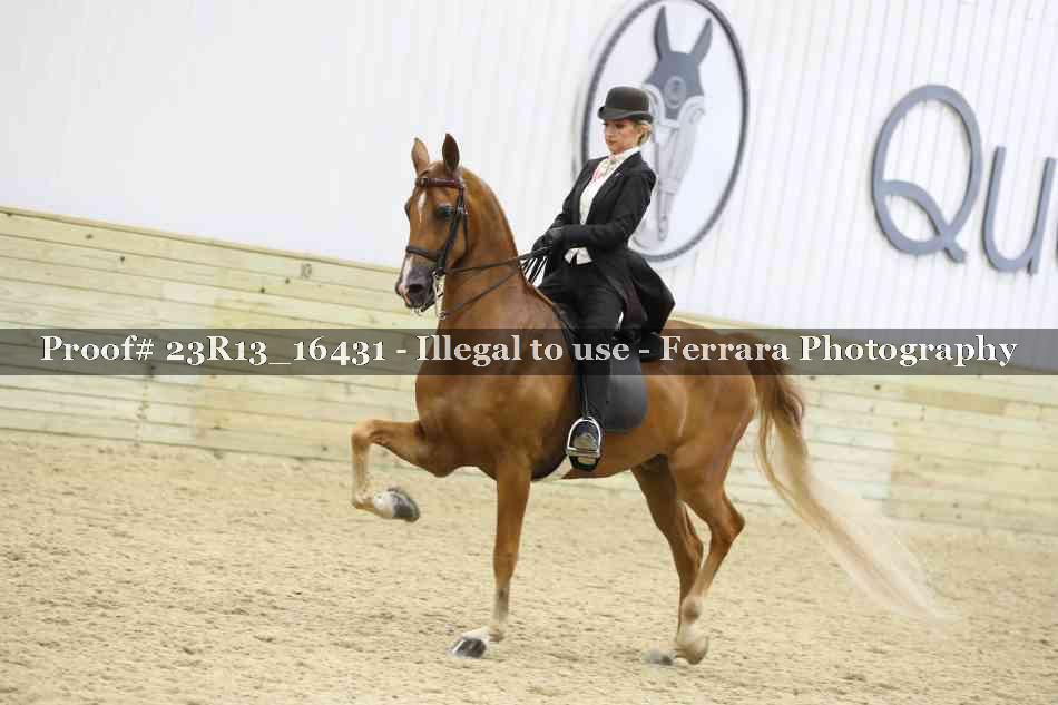 Proof 23R13_16431