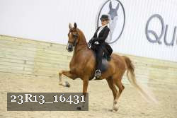23R13_16431 proof