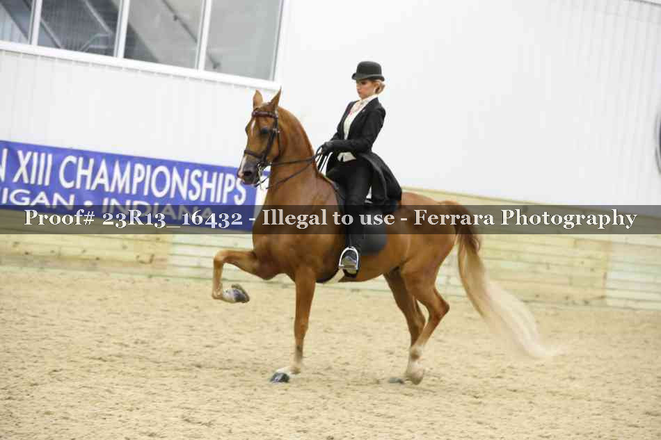 Proof 23R13_16432