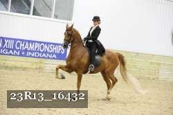 23R13_16432 proof