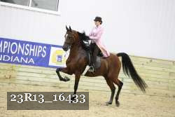 23R13_16433 proof